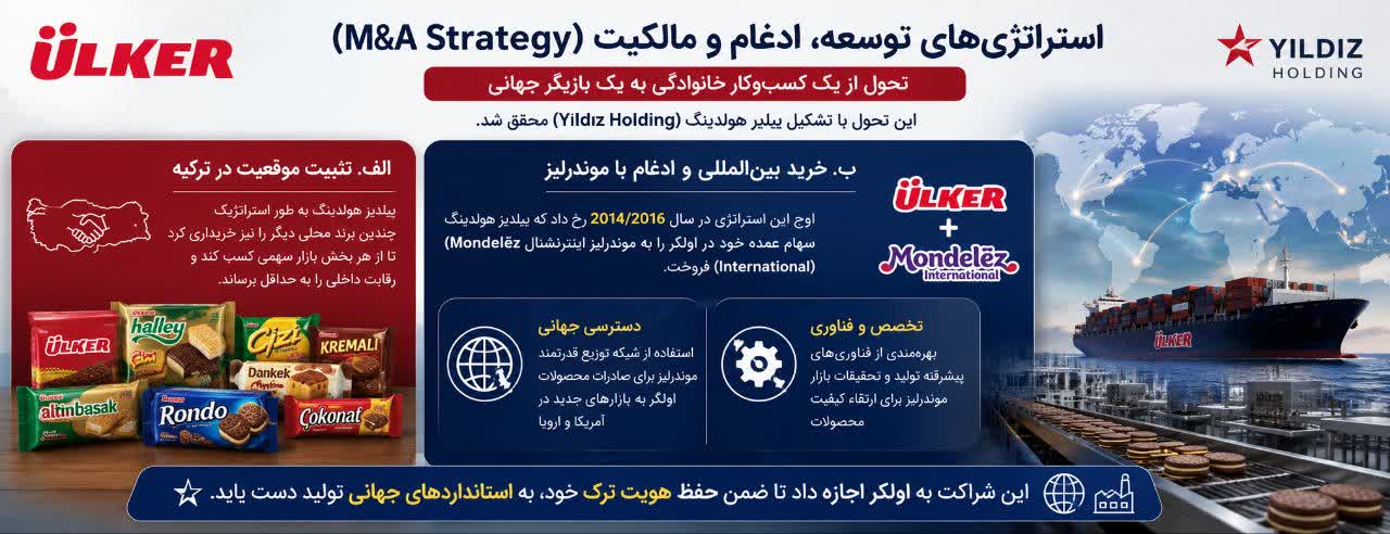 استراتژی‌های توسعه، ادغام و مالکیت (M&A Strategy)